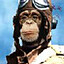 Avatar for Duncan74